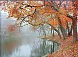 Mike Jones Autumn Reflections